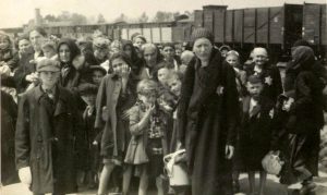 Holocaust Study Auschwitz Album Yad Vashem