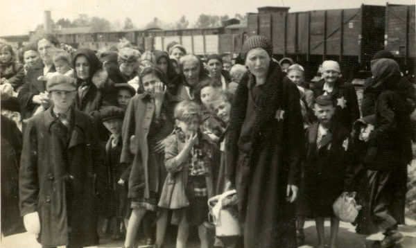 New Survey by Claims Conference Finds Significant Lack of Holocaust Knowledge in the United States