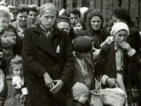 Romanian Survivor Relief Program